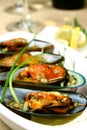 Green Mussels Royalty Free Stock Photo