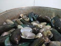 Green mussels and batik mussels are cooked with tomato sauce, soy sauce, garlic, chillies and pepper.