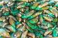 Green mussels.