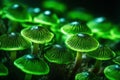 Green mystic mushrooms. Generate Ai
