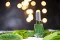 The green nail polish on green leaves The back has a black-grey, blurry background with a soft, round orange bokeh light