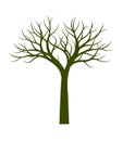 Green naked Tree. Vector Illustration.