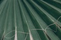 Green natural abstract background palm leaf closeup Royalty Free Stock Photo