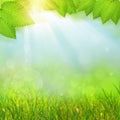 Green natural backgrounds