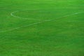 Green natural grass of football or soccer field with part of center round white line for sport background