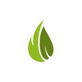 Green natural leaf icon logo design Royalty Free Stock Photo