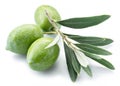 Green natural olives with leaves isolated on a white background Royalty Free Stock Photo