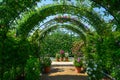 Green natural tunnel of plants and flowers Royalty Free Stock Photo