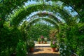 Green natural tunnel of plants and flowers Royalty Free Stock Photo