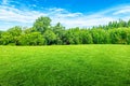 Green grass meadow field in public park with blurry image green trees and blue sky in background. Royalty Free Stock Photo