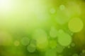 Green nature abstract background Royalty Free Stock Photo