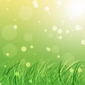 Green Nature Background