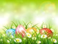 Green Nature Background with Easter Eggs in Grass