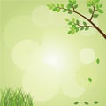Green Nature Background Royalty Free Stock Photo