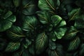 green abstract jungle leaf colourful palm tropical nature forest background tree. Generative AI. Royalty Free Stock Photo