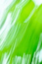 Green nature decorative backdrop fast speedy motion no focus Royalty Free Stock Photo