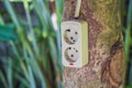 Green nature energy concept, electric socket on tree. Digital nomads concept