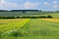 Green nature fields landscape