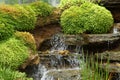 Green Nature Garden decoration of Mini waterfall set with stone and tropical fern plant forest patterns in the garden Royalty Free Stock Photo