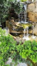 Green Nature Garden decoration of Mini waterfall set with stone and tropical fern plant forest patterns in the garden Royalty Free Stock Photo