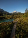 Green nature landscape panorama at idyllic clear blue spring Zelenci lake pond near Kranjska Gora Julian Alps Slovenia Royalty Free Stock Photo