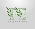 Green Nature Leaf Letter F, E and FE Logo Design. monogram logo. Simple Swirl Green Leaves Alphabet Icon Royalty Free Stock Photo