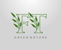 Green Nature Leaf Letter F, T and FT Logo Design. monogram logo. Simple Swirl Green Leaves Alphabet Icon Royalty Free Stock Photo