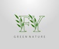 Green Nature Leaf Letter F, Y and FY Logo Design. monogram logo. Simple Swirl Green Leaves Alphabet Icon Royalty Free Stock Photo