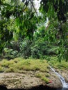 Green nature and mini waterfall