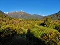 Green nature with mountains, Copland tack, New Zealand Royalty Free Stock Photo