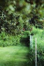 Green Nature Path in Missouri Royalty Free Stock Photo