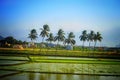 Green Nature Scenery with blue sky