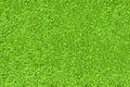 Green nature texture Royalty Free Stock Photo