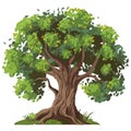 Green nature tree symbolizes growth