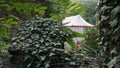 Green Nature, trees and bush in courtyard Castle Satzvey, Eifel, Germany Royalty Free Stock Photo