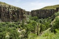 Green nature view from Ihlara valley.