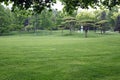 Green and neat lawn in the suburban resort area