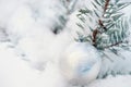 Green needles covered with snow on sunny winter day in the forest.New Year and Christmas background. Royalty Free Stock Photo