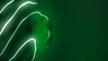 Green neon curved waves vibrating on green background, seamless loop. Animation. Bended glowing lines moving around the