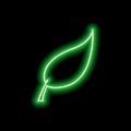 Green neon leaf outline from a tree on a black background Royalty Free Stock Photo
