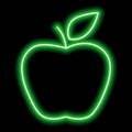 Green neon outline of an apple with a leaf on a black background. Vector icon illustration Royalty Free Stock Photo