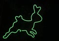 Green neon tube bending into a rabbit shape for decorating the place on black background