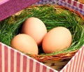 Green nest with eggs in the basket Royalty Free Stock Photo