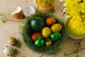 Green nest with many different colored quail easter eggs.