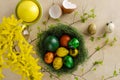Green nest with many different colored quail easter eggs. Royalty Free Stock Photo