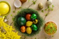Green nest with many different colored quail easter eggs and muffin with sprinkles on the top. flat lay.
