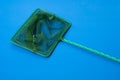 Green net for catching fish from the aquarium, blue background, mesh with a small cell Royalty Free Stock Photo