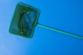 Green net for catching fish from the aquarium, blue background, mesh with a small cell Royalty Free Stock Photo