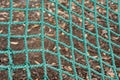 Green net Royalty Free Stock Photo