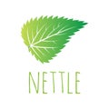 Green nettle leaf vector illustration